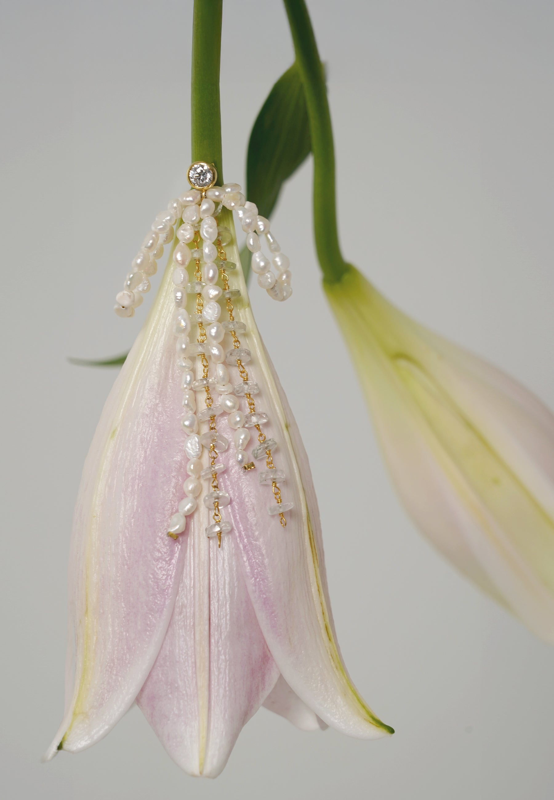 Lavani Jewels