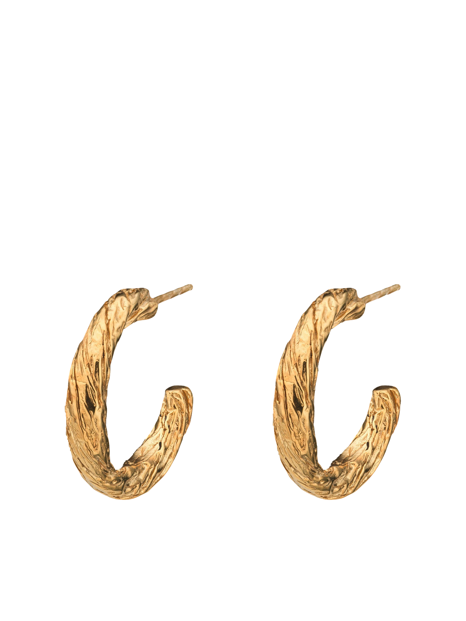 Archaic Small Hoop Earrings Gold | Women's Earrings - Eva Remenyi - Modalova
